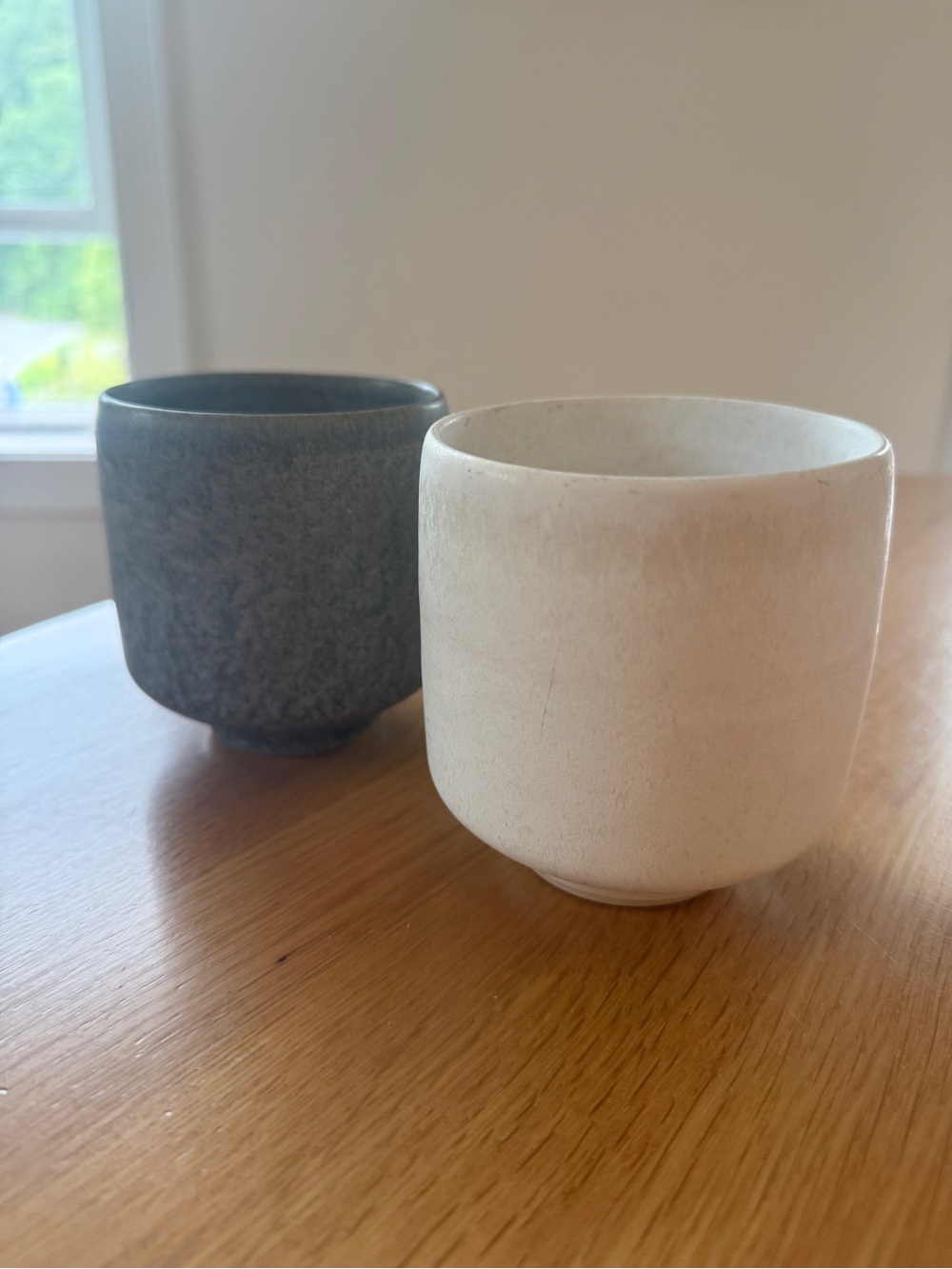 West Elm Mugs- 2 count